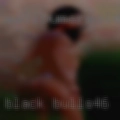 Black bulls