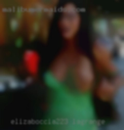 elizaboccia223 Lagrange