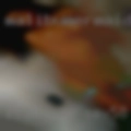 Live cam sex in Kent