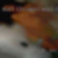 Mature Erie, swinger women