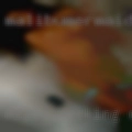 Milfs seeking Denton
