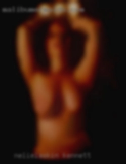 Nelielaskin Kennett